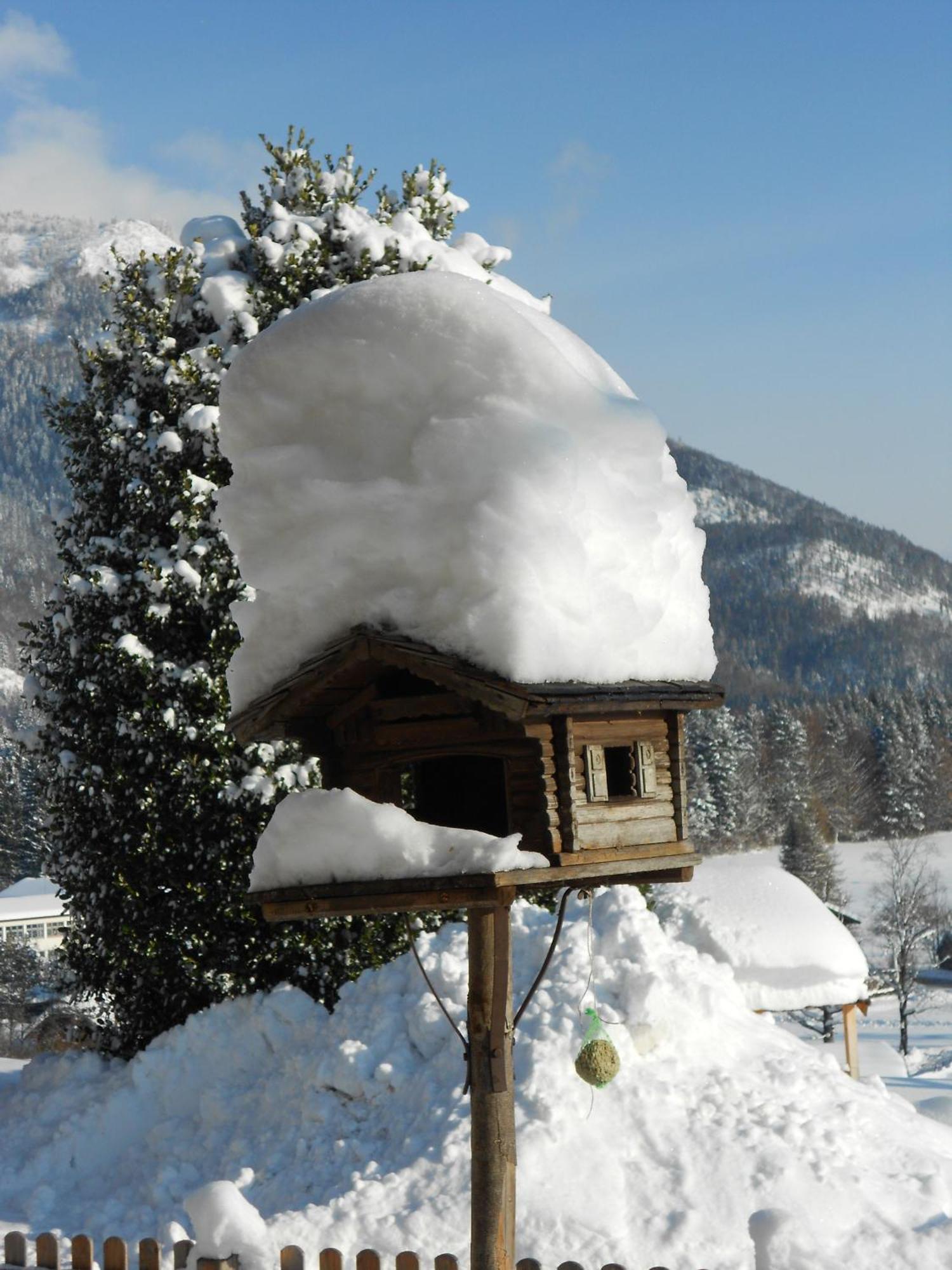 Paulbauer Villa Sankt Wolfgang im Salzkammergut Exterior photo