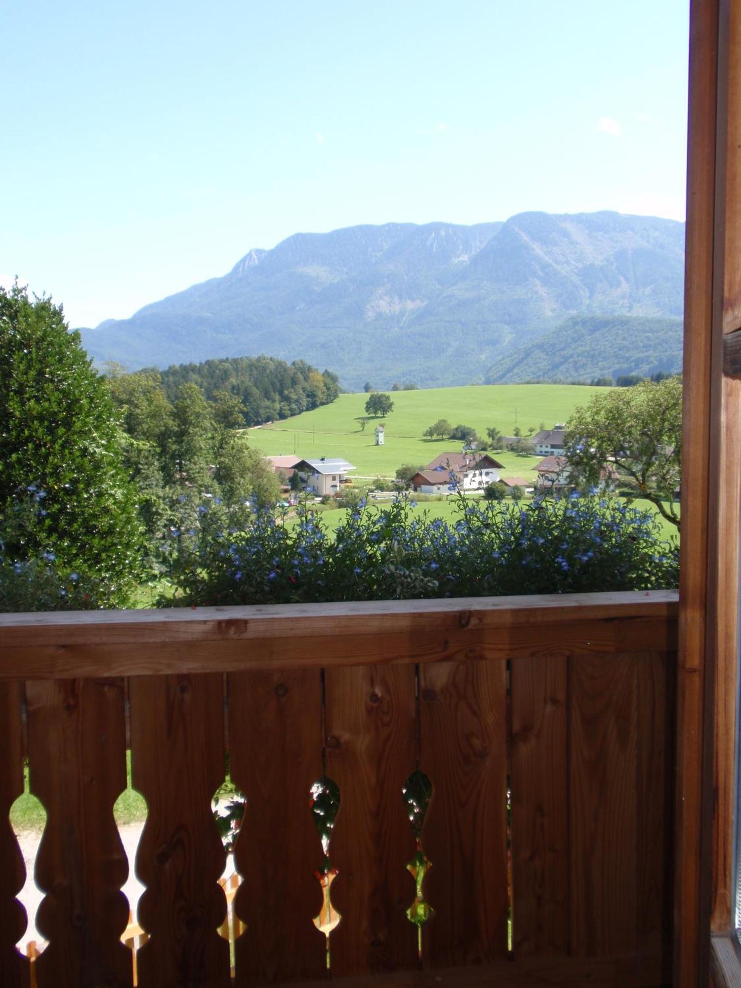 Paulbauer Villa Sankt Wolfgang im Salzkammergut Exterior photo