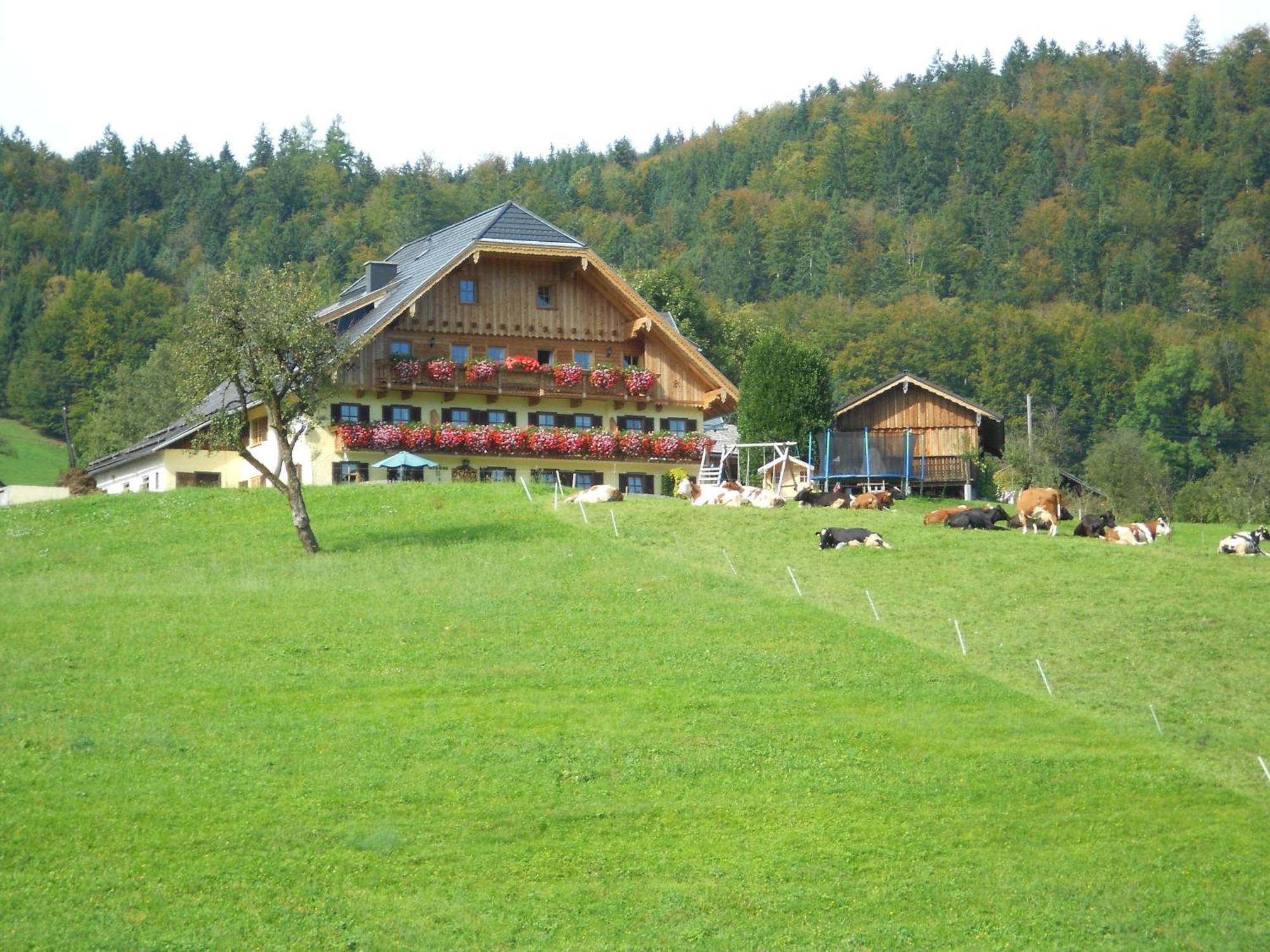 Paulbauer Villa Sankt Wolfgang im Salzkammergut Exterior photo
