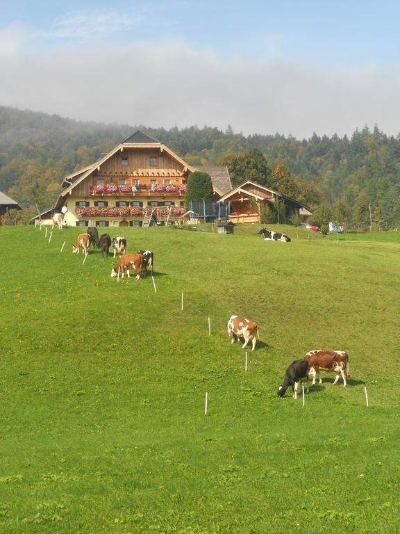 Paulbauer Villa Sankt Wolfgang im Salzkammergut Exterior photo